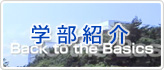 学部紹介