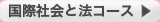 国際社会と法コース